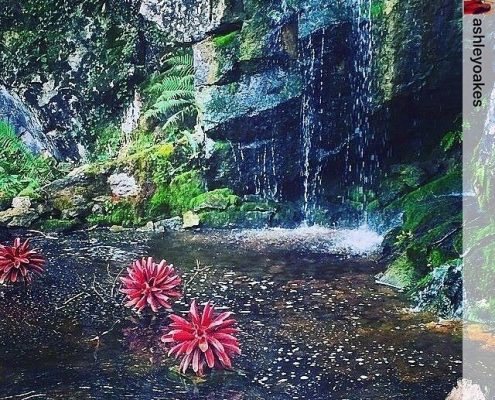 #Repost from Instagram. Thanks to @ashleyoakes. Award winning ceramic water sculpture by Michelle Maher - Symmetry at Blarney Castle, Co. Cork. Inspired by Dahlia and Coral forms, it was sculpted in my own grogged paper clay body and high fired in an electric kiln. Symmetry is now part of the permanent collection at Blarney Castle. www.ceramicforms.com. Photo by Ashley Oakes Scott.