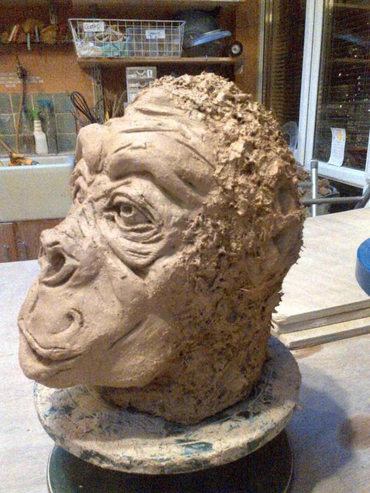 Gorilla modelled by Joanne Regan at Dublin based Wednesday evening ceramic class. The 'fur' was created using moss coated in clay slip, the moss burns away in the kiln leaving its texture in the slip. Later electric fired to 1260°C (Cone 8).