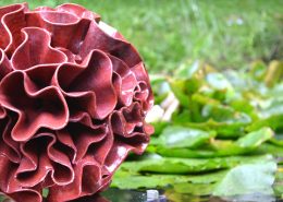Ceramic water sculpture - 'Synthesis' by Michelle Maher. Shown here at Sculpture in Context 2016 at The National Botanic Gardens in Dublin. Inspired by Fungi and Coral forms, it was sculpted in my own grogged paper clay body and high fired in an electric kiln to Cone 8. www.ceramicforms.com